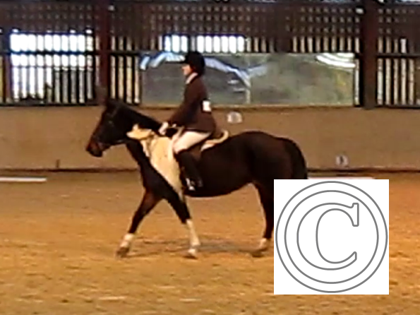 vlcsnap-2010-12-12-19h41m47s203