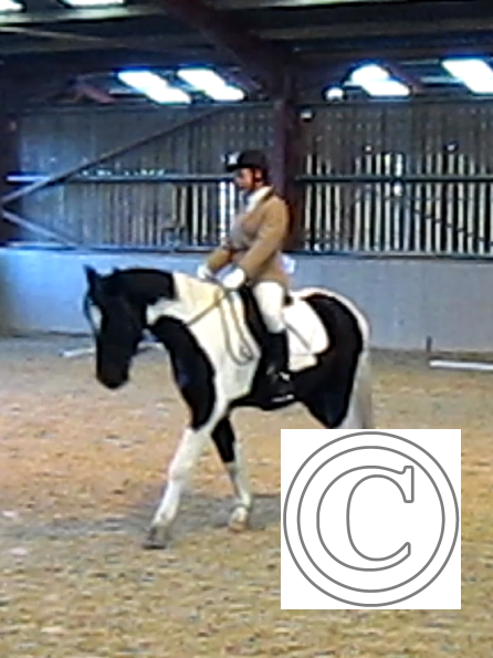 vlcsnap-2010-12-12-19h42m38s198