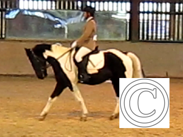 vlcsnap-2010-12-12-19h43m56s209