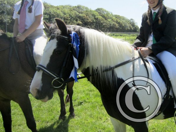 22 July Yard Show (22)