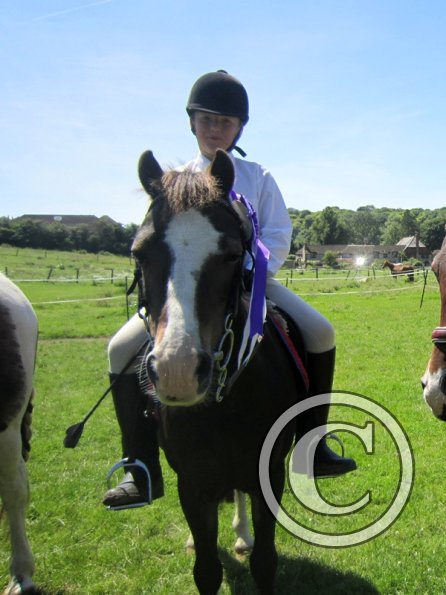 22 July Yard Show (25)