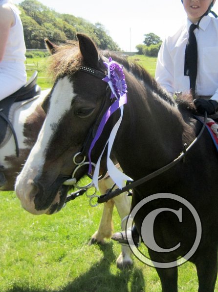 22 July Yard Show (26)