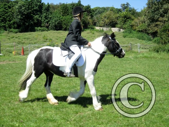 22 July Yard Show (27)