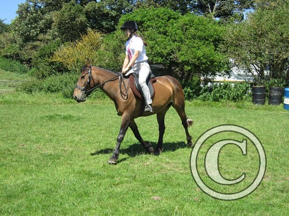 22 July Yard Show (28)