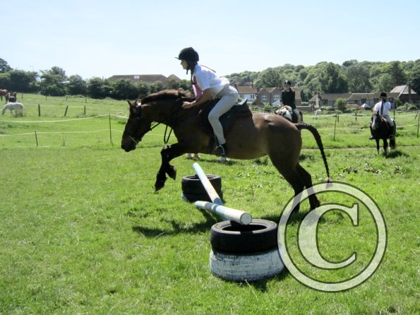 22 July Yard Show (30)