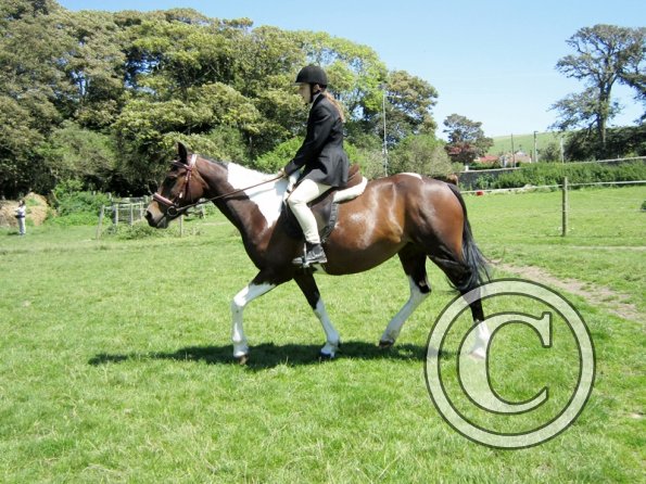 22 July Yard Show (31)