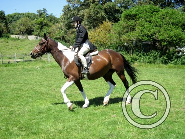 22 July Yard Show (32)