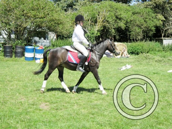 22 July Yard Show (33)