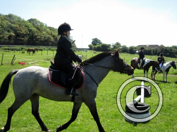 22 July Yard Show (34)