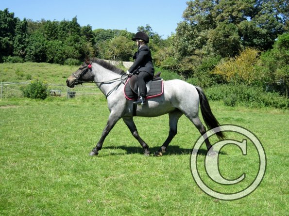 22 July Yard Show (35)