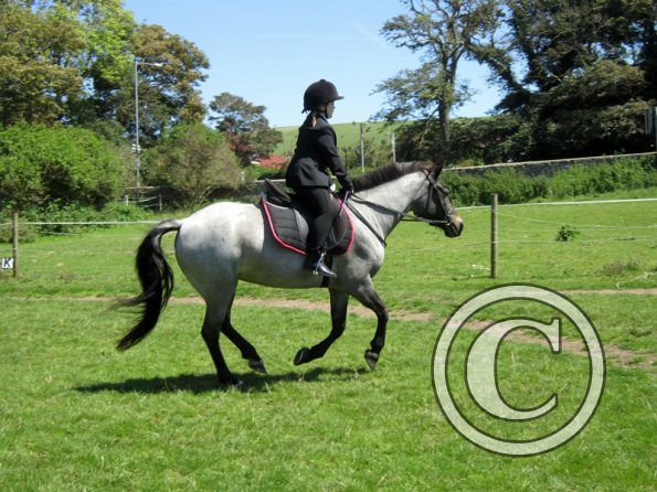 22 July Yard Show (36)