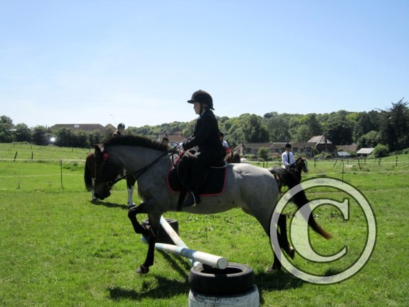 22 July Yard Show (37)