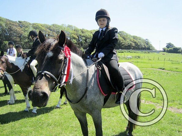 22 July Yard Show (38)