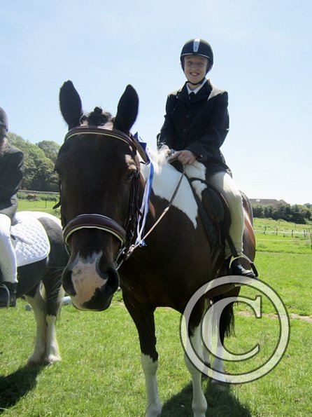 22 July Yard Show (39)