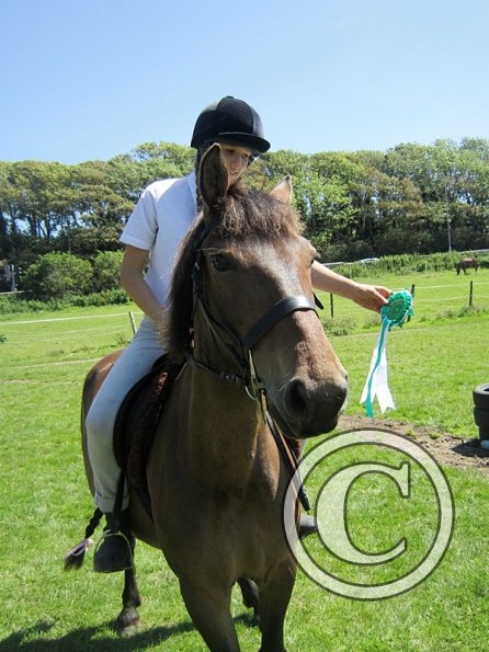 22 July Yard Show (41)