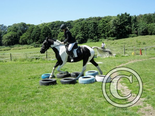 22 July Yard Show (43)