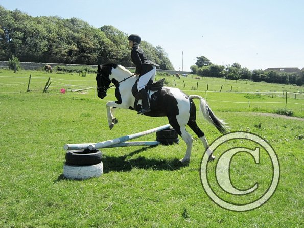 22 July Yard Show (44)