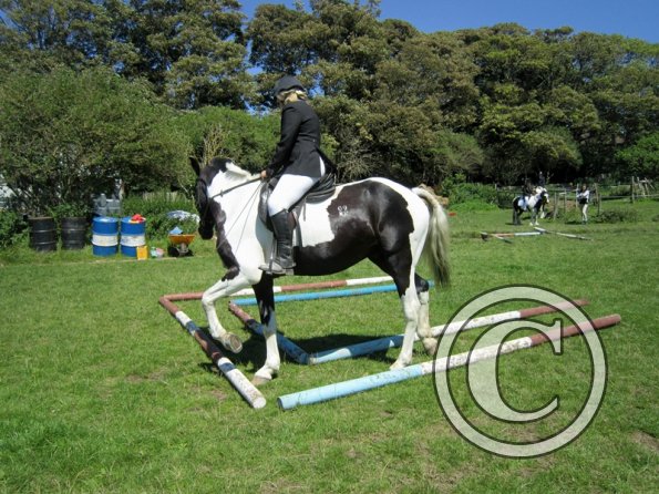 22 July Yard Show (45)