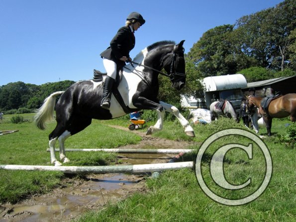 22 July Yard Show (46)