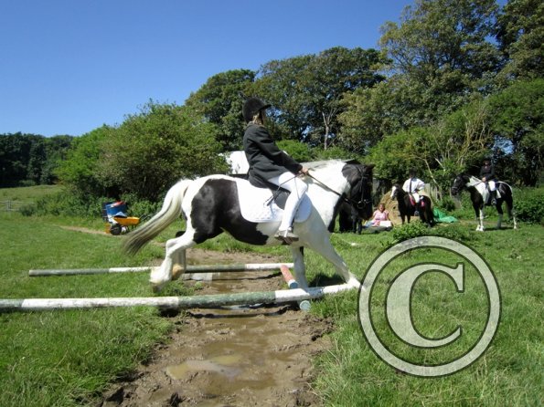 22 July Yard Show (47)