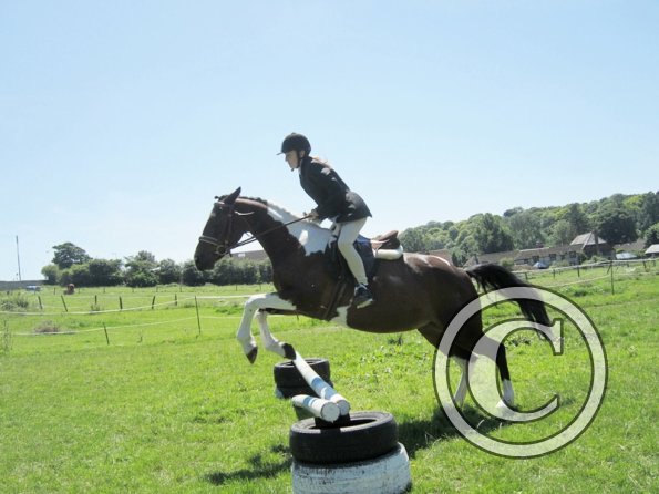 22 July Yard Show (48)