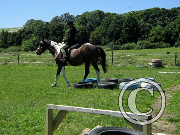 22 July Yard Show (49)