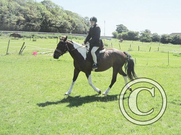 22 July Yard Show (50)