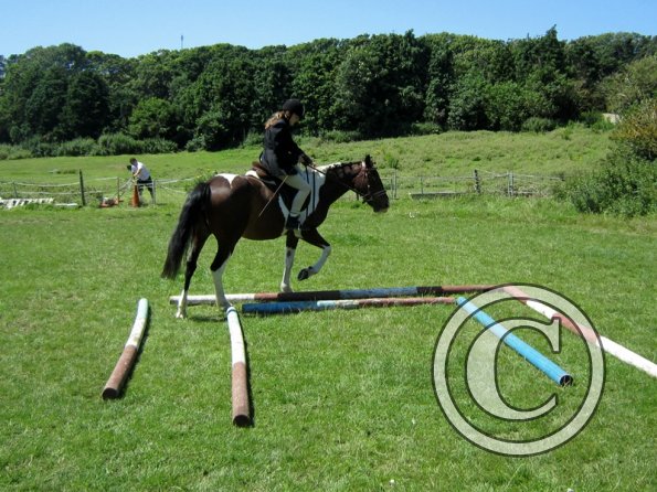 22 July Yard Show (51)