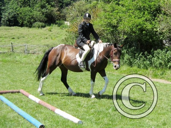 22 July Yard Show (52)