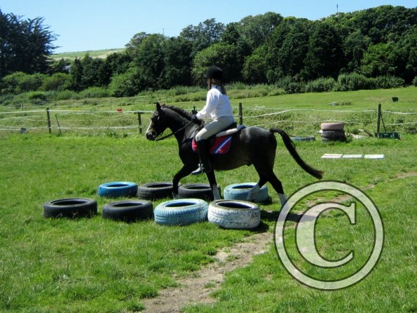 22 July Yard Show (53)