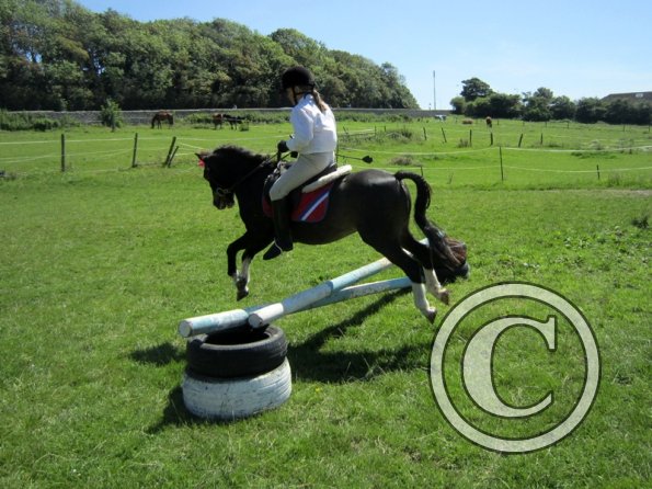 22 July Yard Show (54)