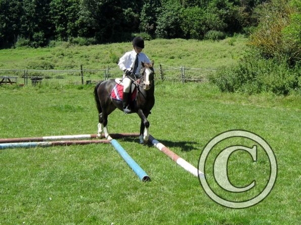 22 July Yard Show (55)