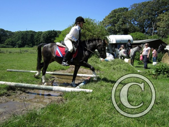 22 July Yard Show (56)