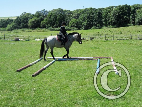 22 July Yard Show (57)