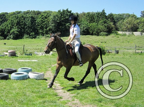 22 July Yard Show (59)