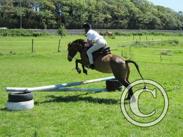 22 July Yard Show (60)