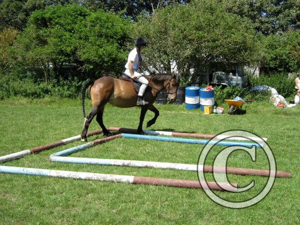 22 July Yard Show (61)