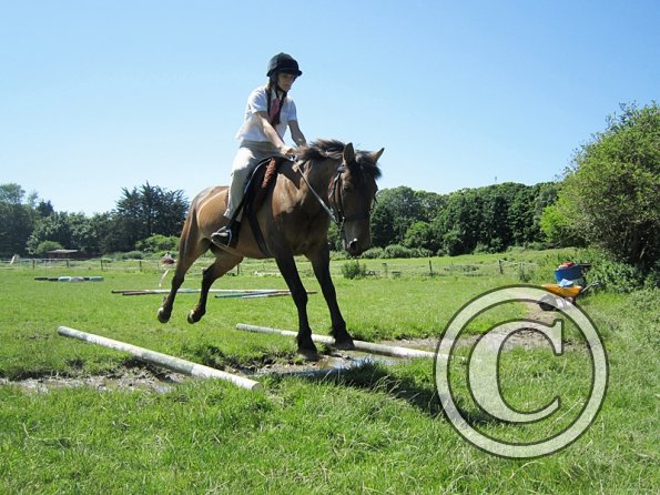 22 July Yard Show (62)