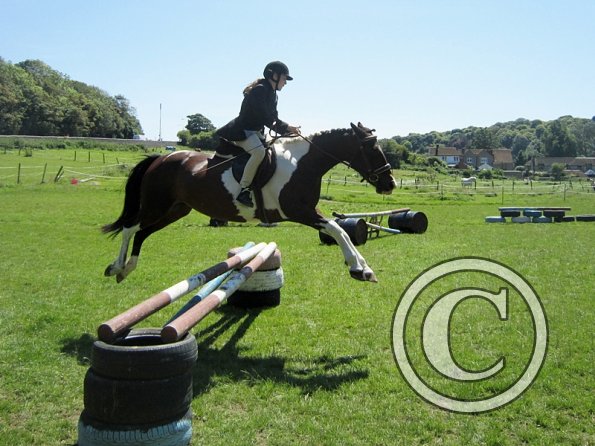 22 July Yard Show (63)