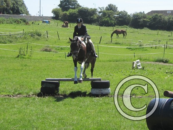 22 July Yard Show (64)