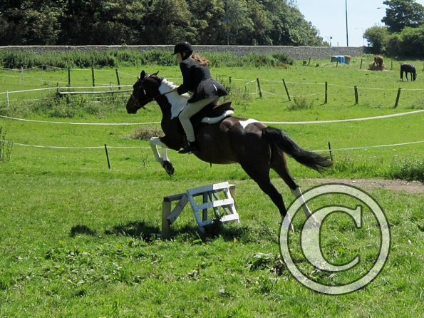 22 July Yard Show (65)