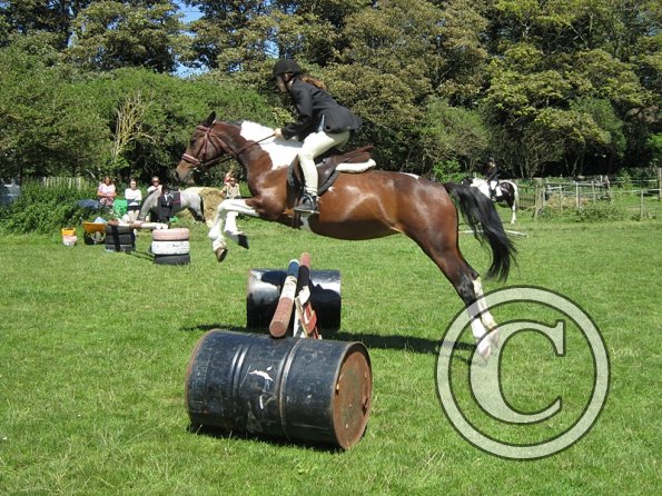 22 July Yard Show (66)