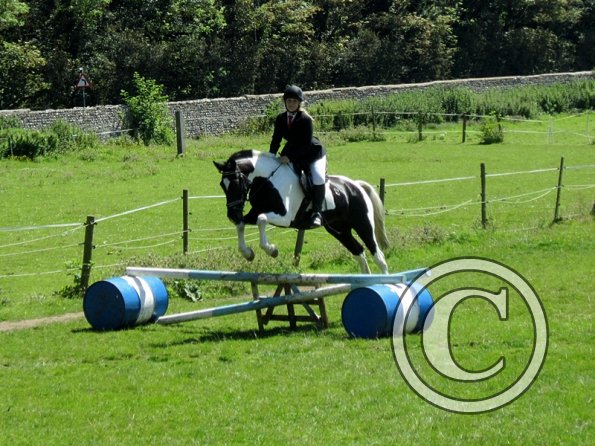 22 July Yard Show (67)