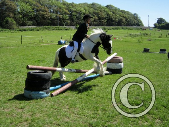 22 July Yard Show (68)