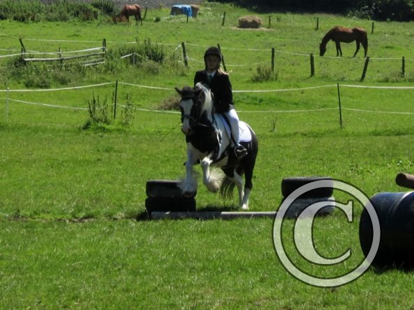 22 July Yard Show (69)