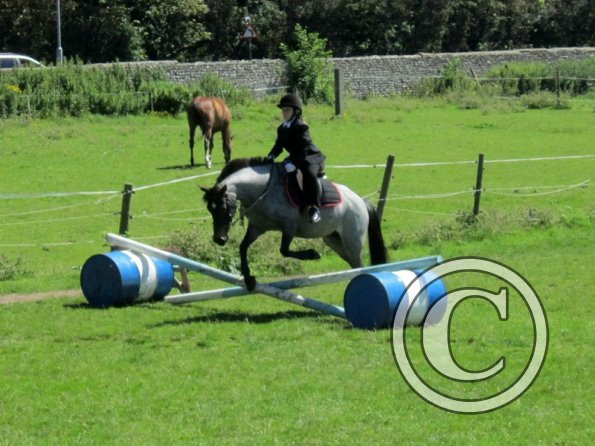 22 July Yard Show (71)