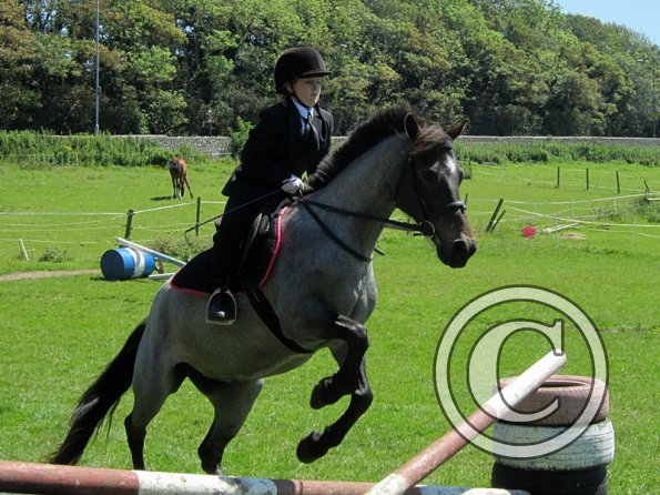 22 July Yard Show (72)