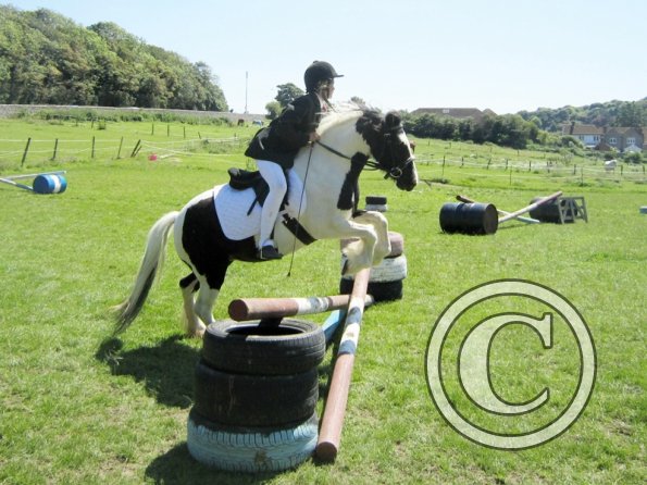 22 July Yard Show (73)