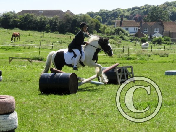 22 July Yard Show (74)