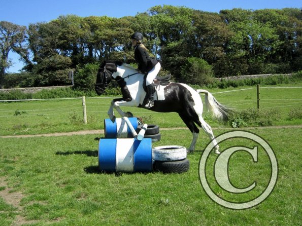 22 July Yard Show (75)